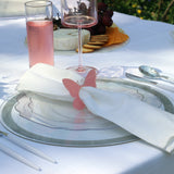 Lucite Chargers - Clear (4)